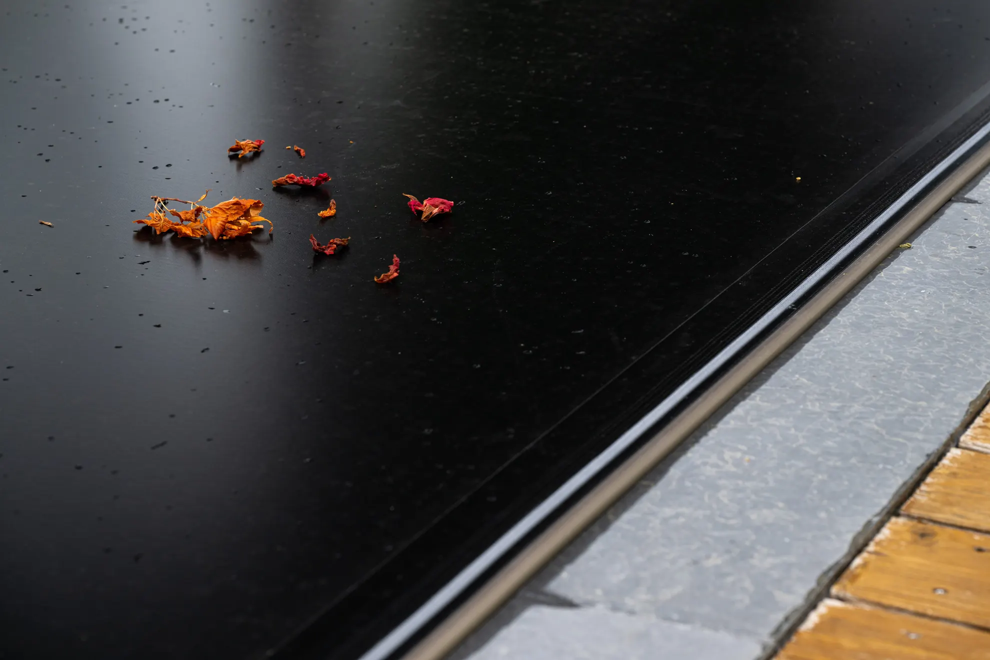 Gros plan sur une membrane de couverture de piscine Coverseal noire, avec quelques feuilles à sa surface