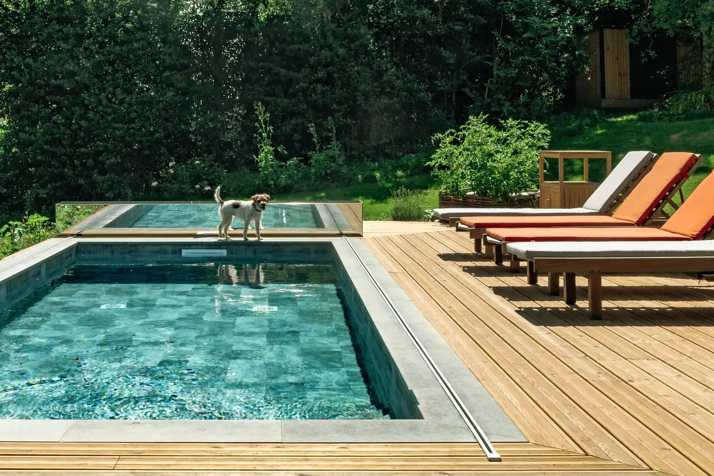 Piscine extérieure avec couverture Coverseal intégrée à une terrasse en bois, entourée de transats et de verdure